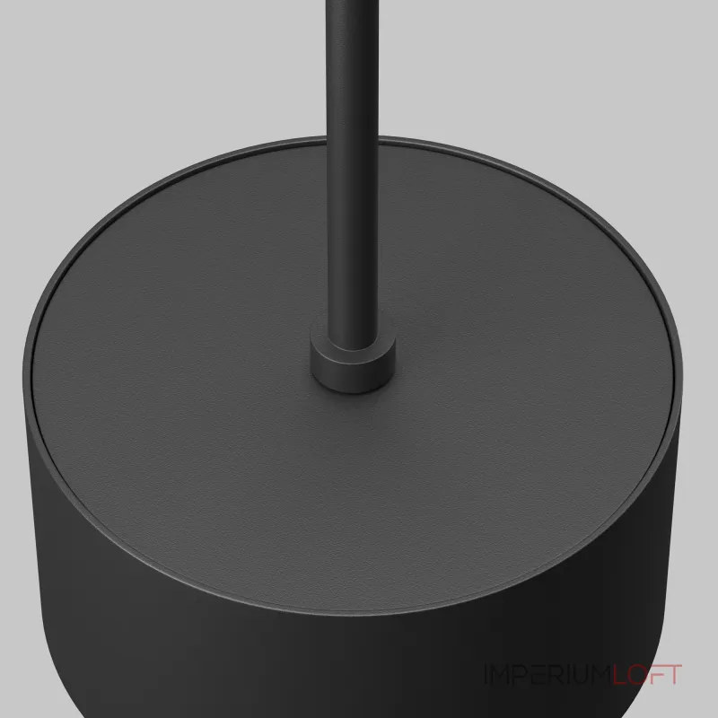 Подвесной светильник Maytoni Pendant P102PL-12W4K-B