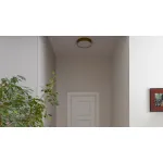 Потолочный светильник Maytoni Ceiling C032CL-36W4K-RD-MG от ImperiumLoft