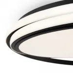 Потолочный светильник Freya Lisoa FR10032CL-L98B