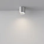 Потолочный светильник Polar C088CL-GX53-S