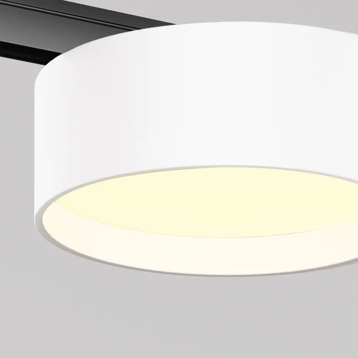 Трековый светильник Maytoni LEVITY TR189-1-12W3K-BW от ImperiumLoft
