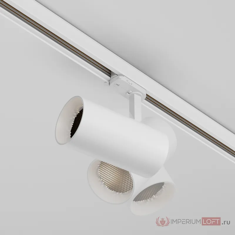 Трековый светильник Maytoni TRINITY TR197-3-30WCCT-M-W от ImperiumLoft