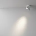 Потолочный светильник Maytoni Ceiling C022CL-12W4K-W-1