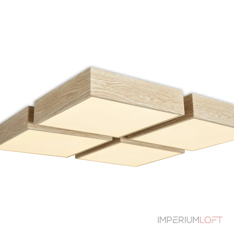 Потолочный светильник Freya Кубба / Cubba FR5450CL-L120BG