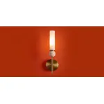 Настенный светильник (бра) Freya Sunspot FR5482WL-01BS