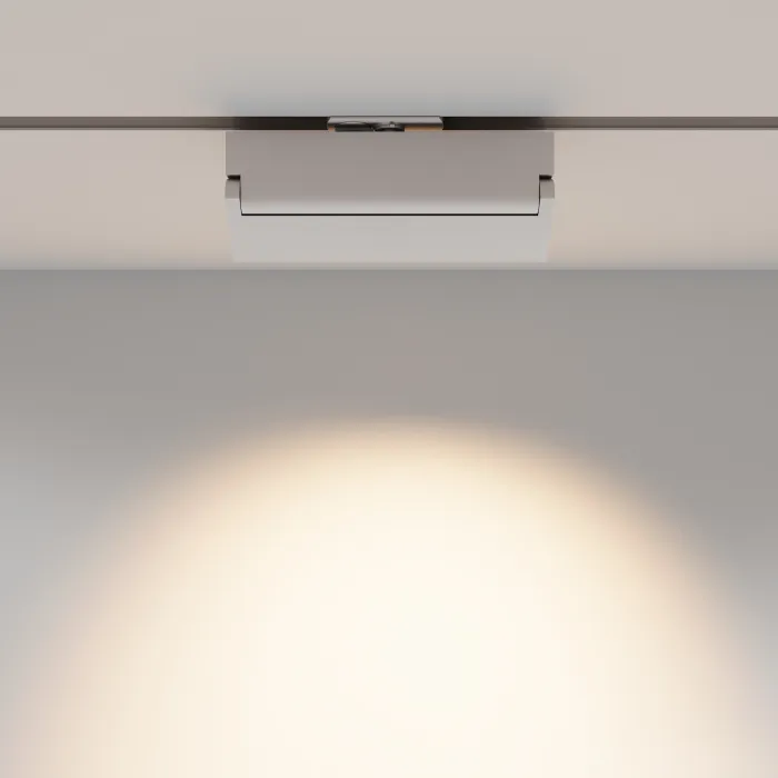 Трековый светильник Maytoni TR224-1-12WCCT-M-W от ImperiumLoft