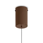 Подвесной светильник Freya Movement FR5602PL-L5BR