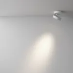 Потолочный светильник Maytoni Magic C022CL-L12W4K