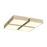 Потолочный светильник Freya Кубба / Cubba FR5450CL-L120BG
