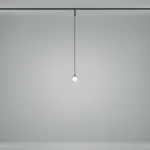 Трековый подвесной светильник Maytoni BASITY TR181PL-1-4WTW-B