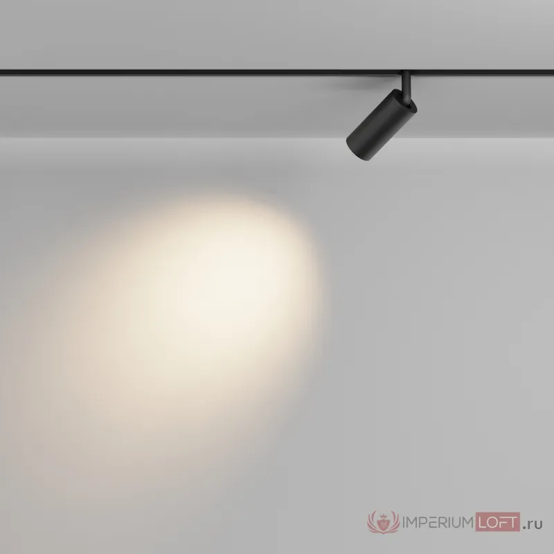 Трековый светильник Maytoni EXILITY TR032-2-5W2.7K-M-B от ImperiumLoft