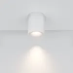 Потолочный светильник Maytoni Ceiling C094-GU10-W