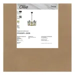 Подвесная люстра Freya Олли / Ollie FR5525PL-05GB