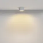 Потолочный светильник Maytoni Zon C032CL-12W2.7K-RD-W от ImperiumLoft