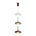 Подвесной светильник Freya Movement FR5602PL-L5BR