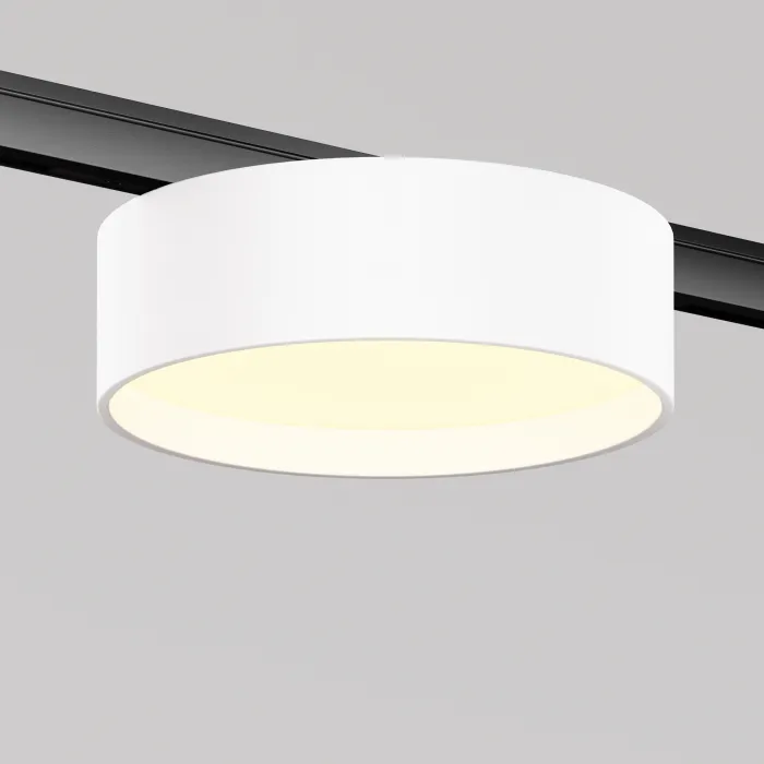 Трековый светильник Maytoni LEVITY TR189-1-12W3K-BW от ImperiumLoft