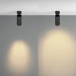 Потолочный светильник Maytoni Ceiling C055CL-L12W2.7K-Z-B