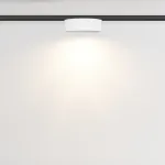 Трековый светильник Maytoni LEVITY TR189-1-12W3K-BW от ImperiumLoft