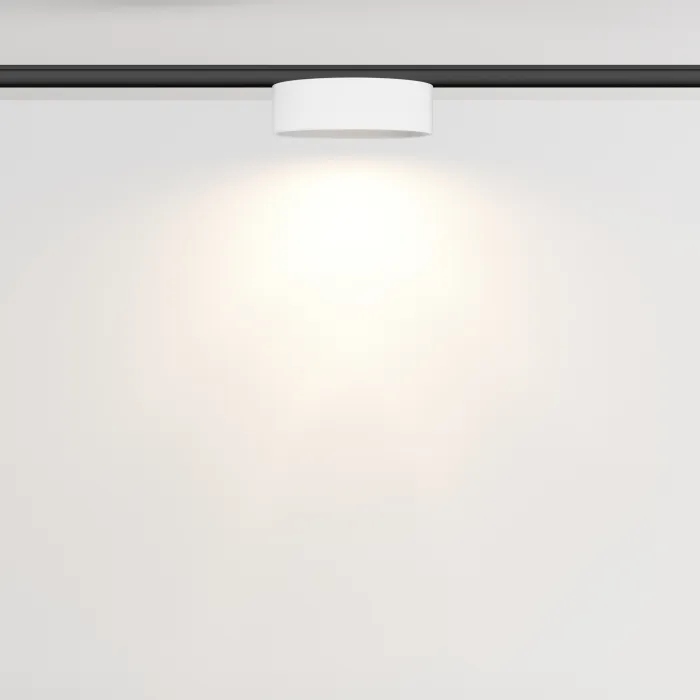 Трековый светильник Maytoni LEVITY TR189-1-12W3K-BW от ImperiumLoft