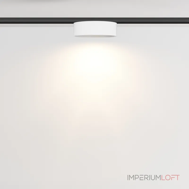 Трековый светильник Maytoni LEVITY TR189-1-12W3K-BW