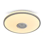 Потолочный светильник Freya Ронд / Rond FR6226CL-L36W