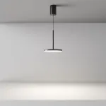 Подвесной светильник Maytoni Pendant P076PL-L12W4K-B