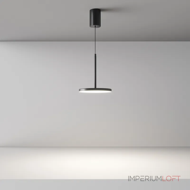 Подвесной светильник Maytoni Pendant P076PL-L12W4K-B