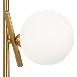 Напольный светильник (торшер) Blossom FR5259FL-03BS от ImperiumLoft