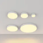 Потолочный светильник Maytoni Zon C032CL-12W2.7K-RD-W от ImperiumLoft