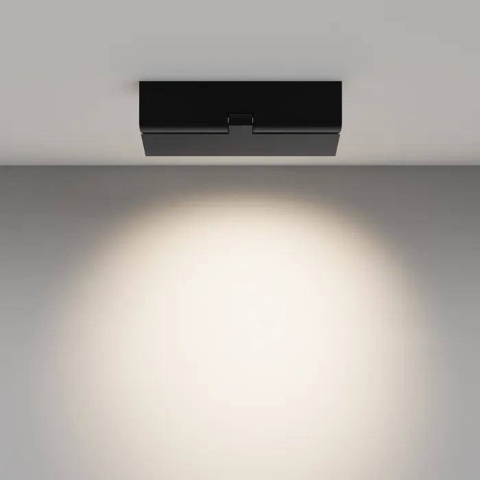 Потолочный светильник Maytoni Ceiling C136CL-12W4K-B от ImperiumLoft