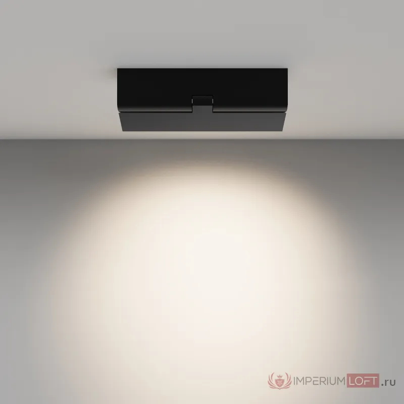 Потолочный светильник Maytoni Ceiling C136CL-12W4K-B от ImperiumLoft