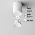Потолочный светильник Maytoni Ceiling C064CL-8W4K-RD-WB от ImperiumLoft