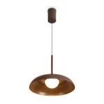Подвесной светильник Freya Movement FR5602PL-L5BR1