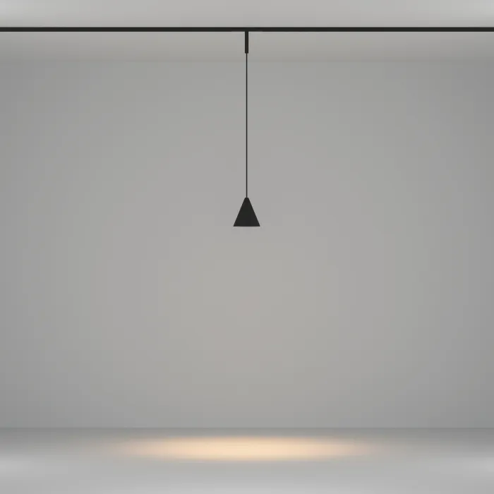 Трековый подвесной светильник Maytoni BASITY TR182-1-5WTW-M-B от ImperiumLoft