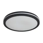 Потолочный светильник Freya Руа / Rua FR6160CL-L40B