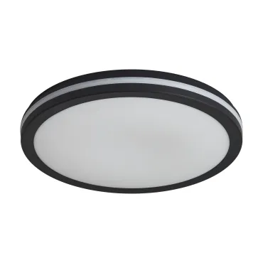 Потолочный светильник Freya Руа / Rua FR6160CL-L40B Потолочный светильник Freya Руа / Rua FR6160CL-L40B