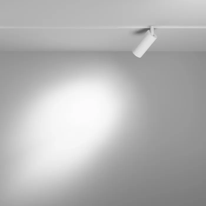 Трековый светильник Maytoni Focus LED TR032-4-5WTW-M-DD2-W от ImperiumLoft