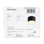 Потолочный светильник Voltega Грейв / Grave VGL7237DL-01B1