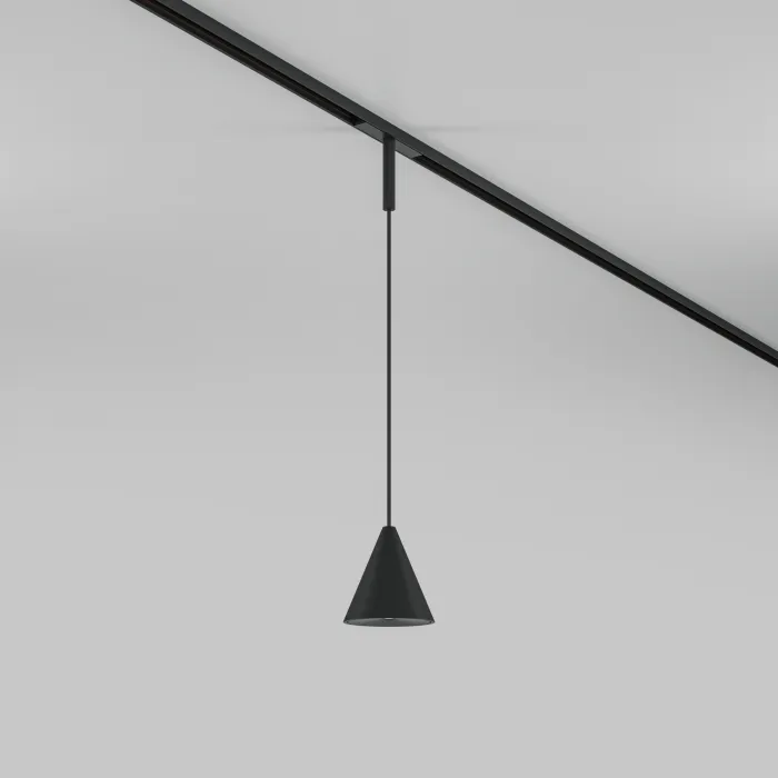 Трековый подвесной светильник Maytoni BASITY TR182-1-5WTW-M-B от ImperiumLoft