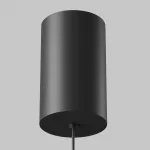 Подвесной светильник Maytoni Pendant P101PL-L300-12W3K-B