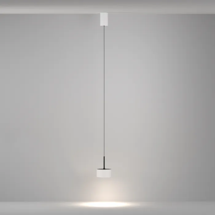Подвесной светильник Maytoni Pendant P102PL-12W4K-W от ImperiumLoft