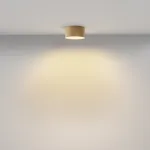 Потолочный светильник Maytoni Ceiling C032CL-12W2.7K-RD-MG