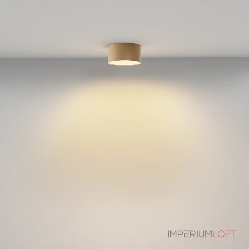 Потолочный светильник Maytoni Ceiling C032CL-12W2.7K-RD-MG