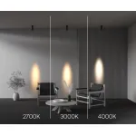 Потолочный светильник Maytoni Ceiling FOCUS LED C055CL-L12W4K-SS-B