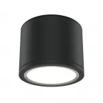Потолочный светильник Maytoni Ceiling C095CL-GX53-B