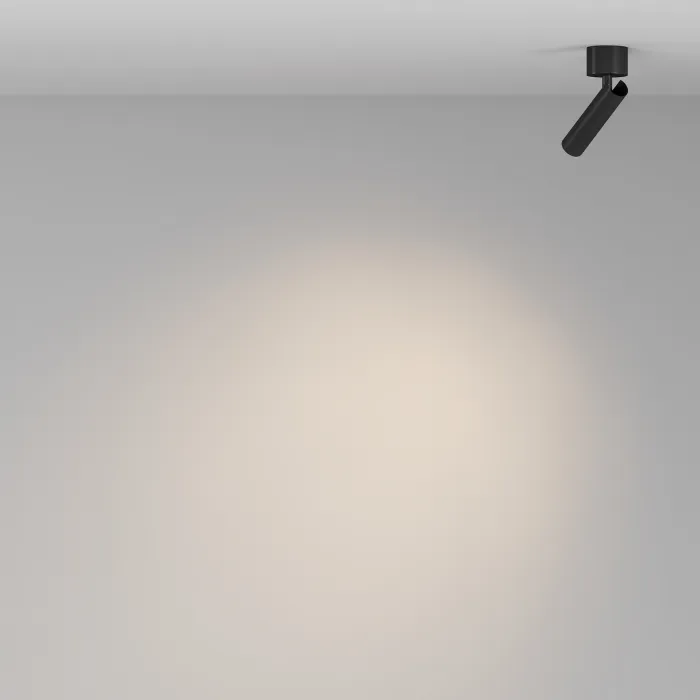 Потолочный светильник Maytoni Ceiling C141CL-L125-6W3K-B от ImperiumLoft