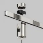 Коннектор с тросовым подвесом Tau в шинопровод Flarity платина Maytoni TRA154SW-1PT