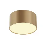 Потолочный светильник Maytoni Ceiling C032CL-12W2.7K-RD-MG