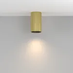 Потолочный светильник Maytoni Ceiling C106CL-01-GU10-BS
