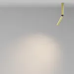 Потолочный светильник Maytoni Ceiling C142CL-6W3K-BS